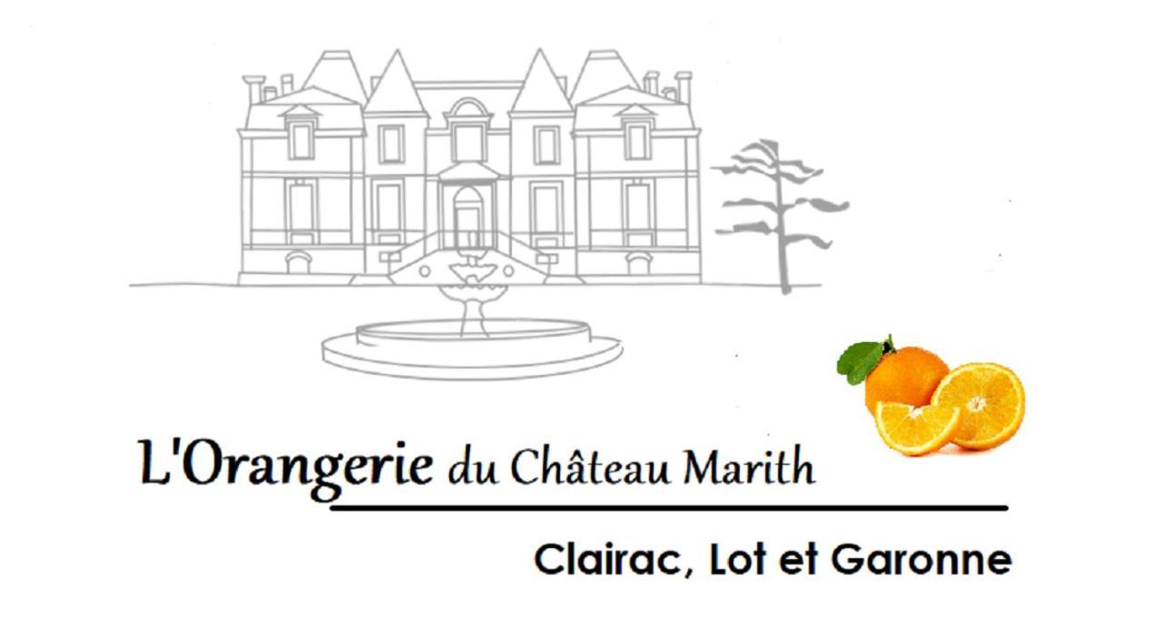 Orangerie Du Chateau Marith - Domaine Avec Piscine Clairac  Екстериор снимка