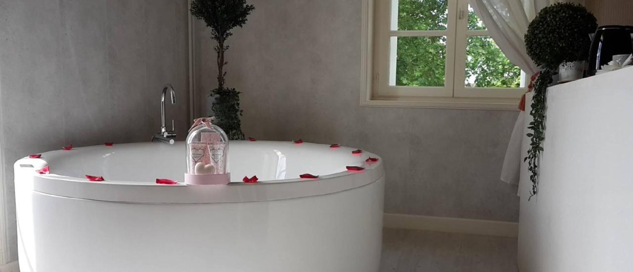 Orangerie Du Chateau Marith - Domaine Avec Piscine Clairac  Екстериор снимка