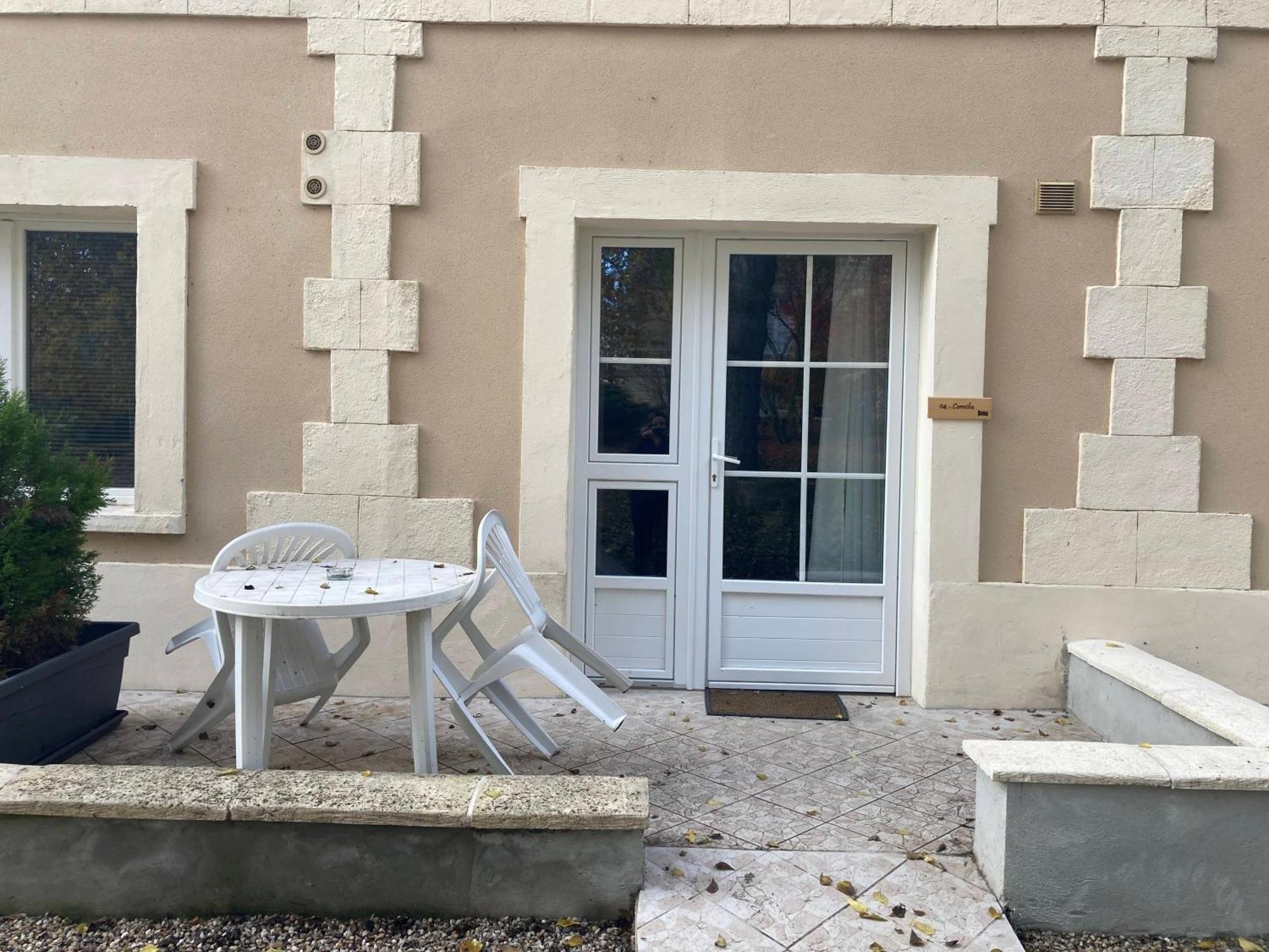 Orangerie Du Chateau Marith - Domaine Avec Piscine Clairac  Стая снимка